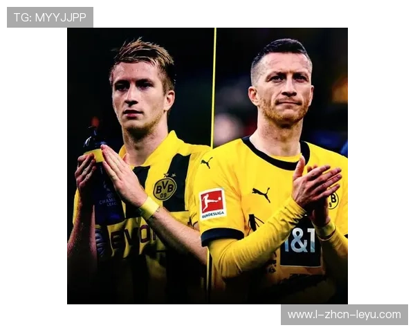 多特蒙德反击一条龙成经典，罗伊斯精准挑传撕裂对手